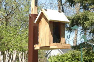 Small Square Bird Feeder