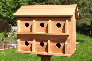 Purple Martin House