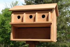 Purple Martin House