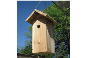 Carolina Chickadee House