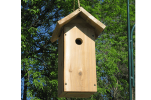 Brown-headed Nuthatch House