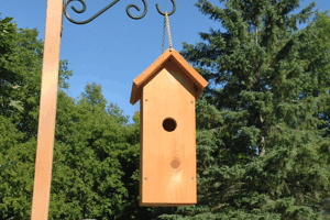 Eastern Bluebird House
