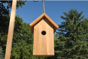 House Sparrow House