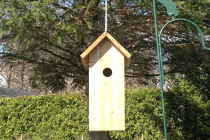Pileated Woodpecker House