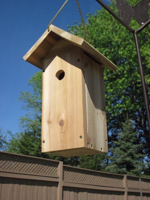 Black-capped Chickadee House