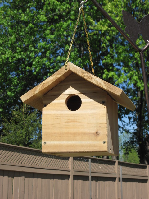 Violet-green Swallow House