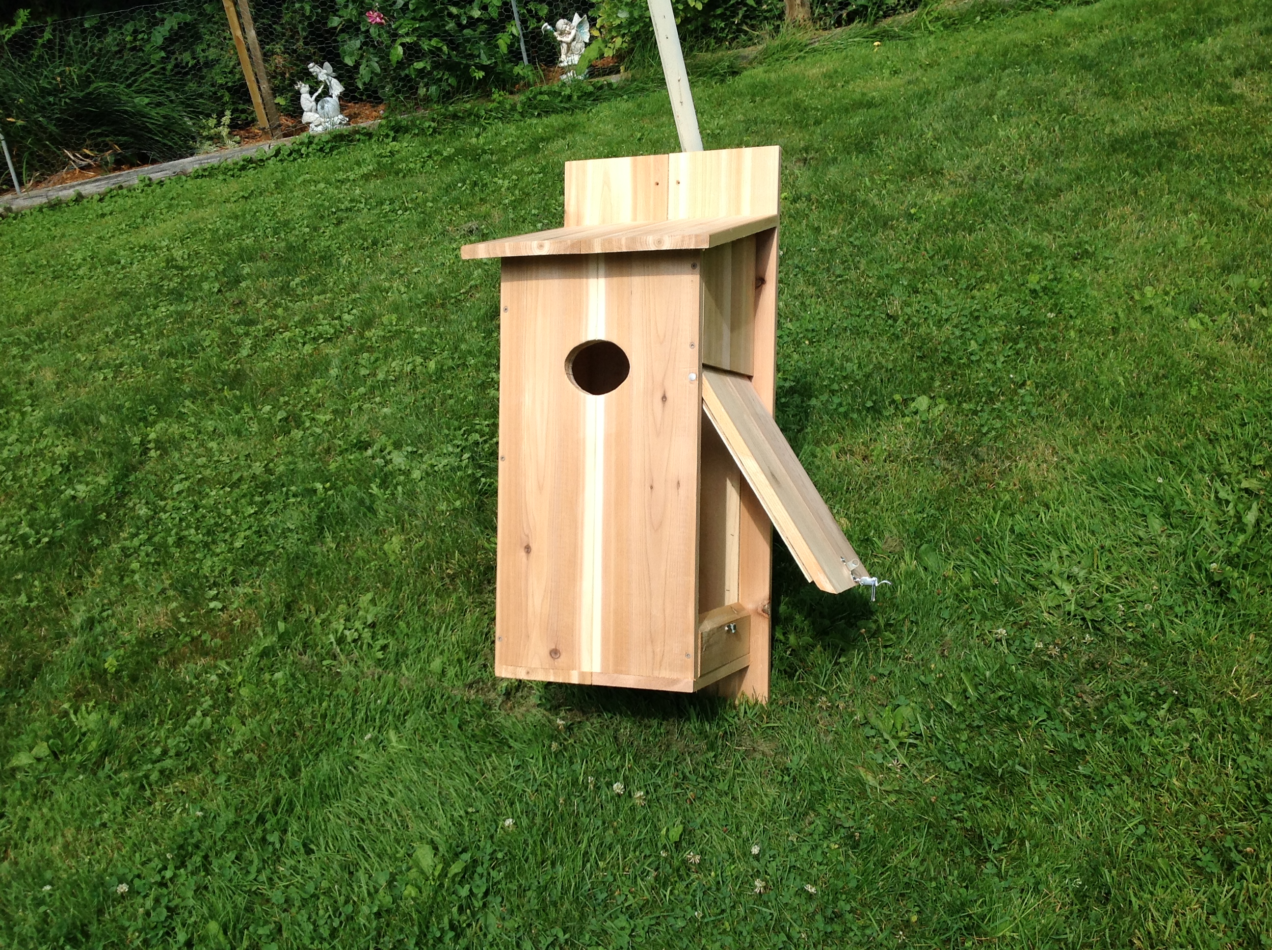 Hooded Merganser House